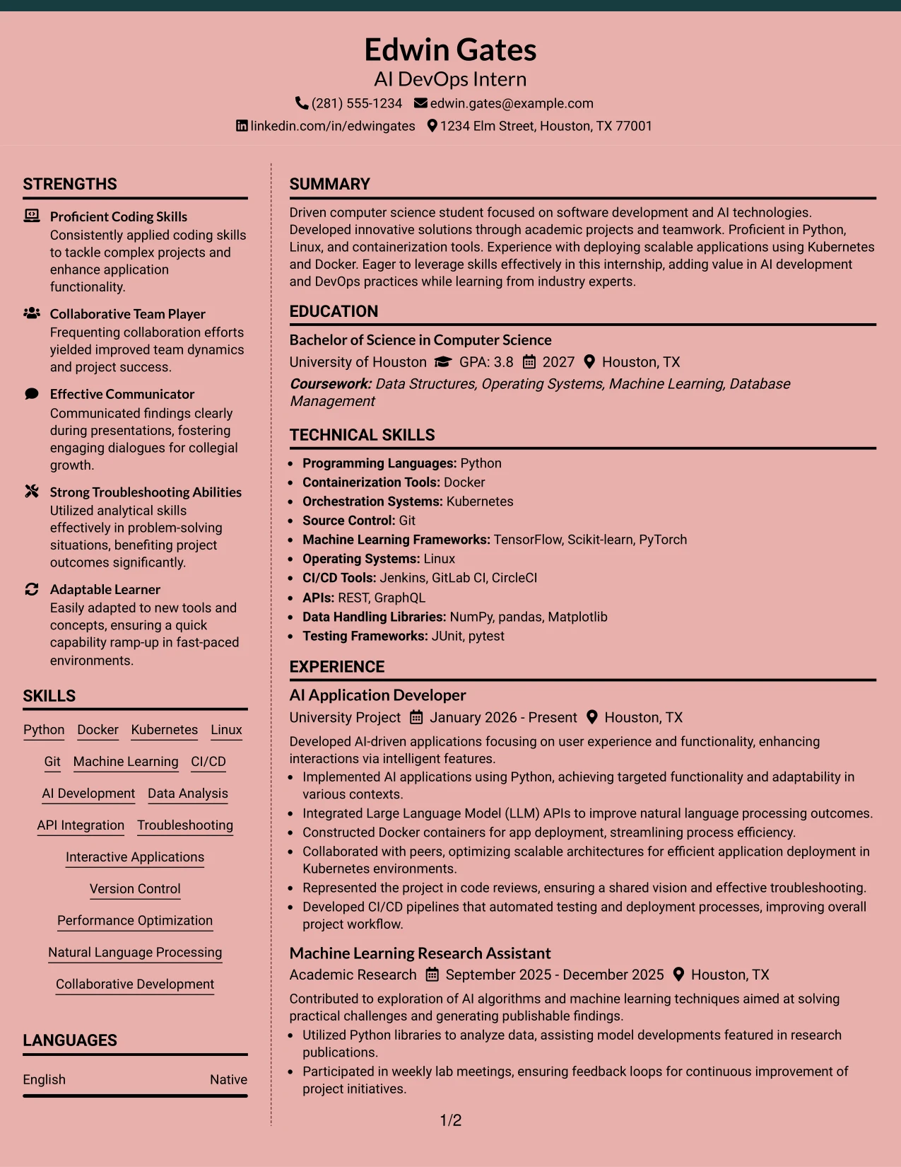 Resume Example Page 1