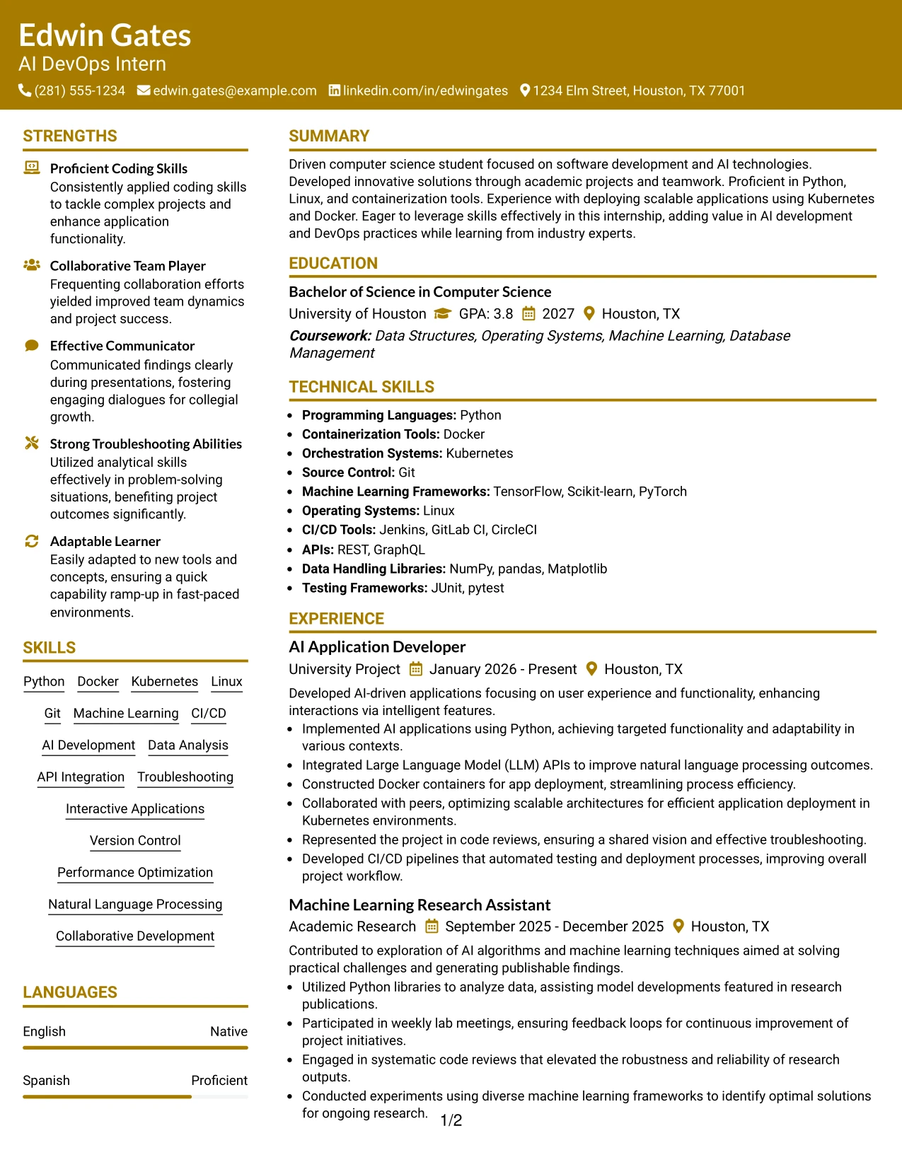 Resume Example Page 1