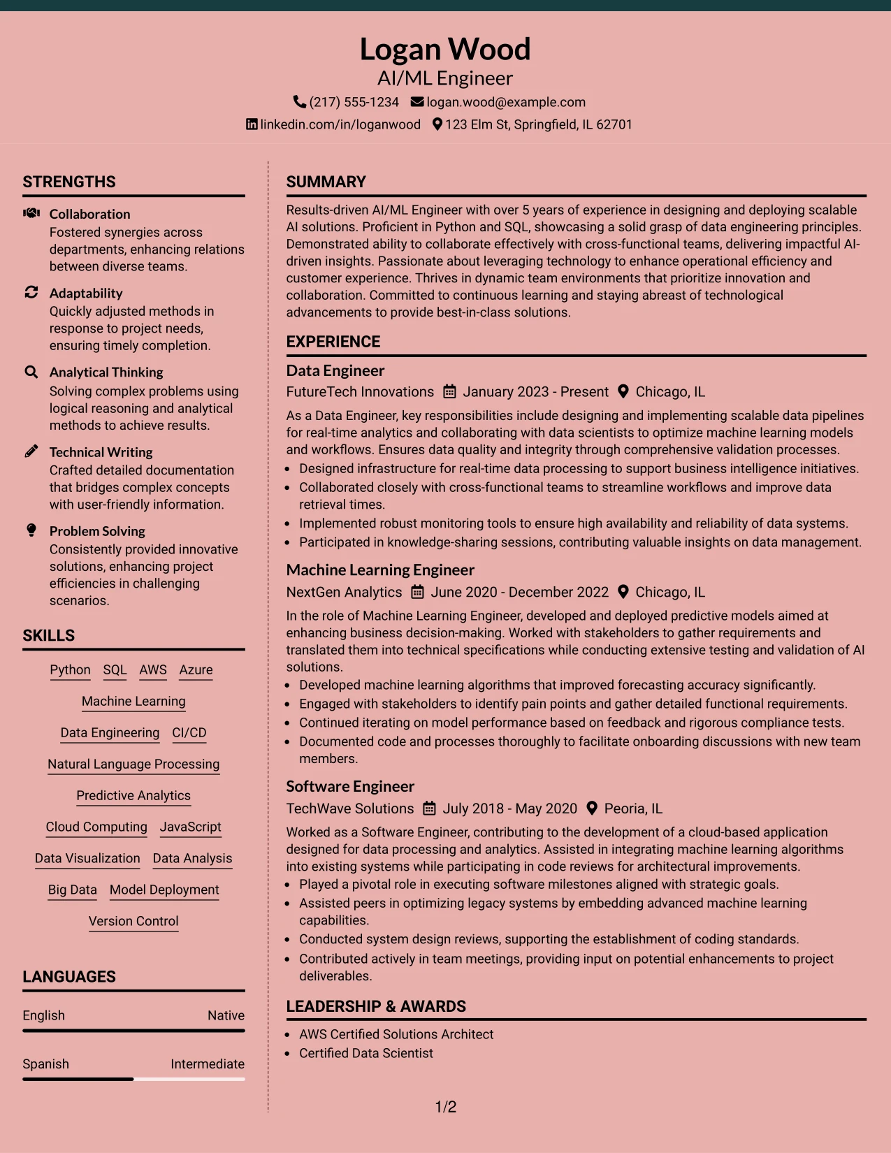 Resume Example Page 1
