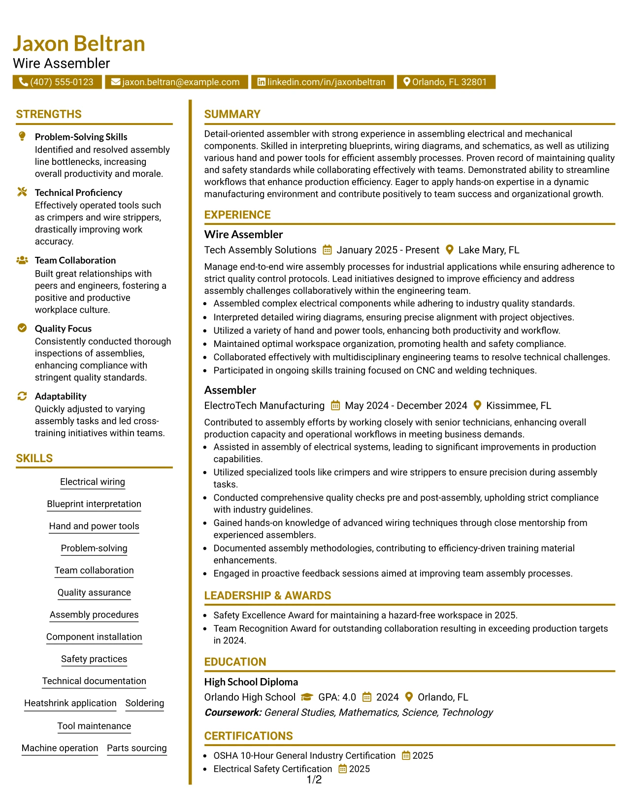 Resume Example Page 1