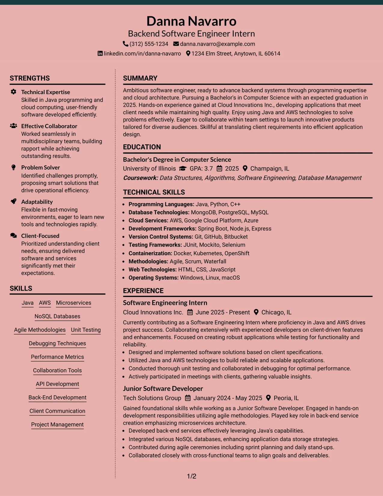 Resume Example Page 1