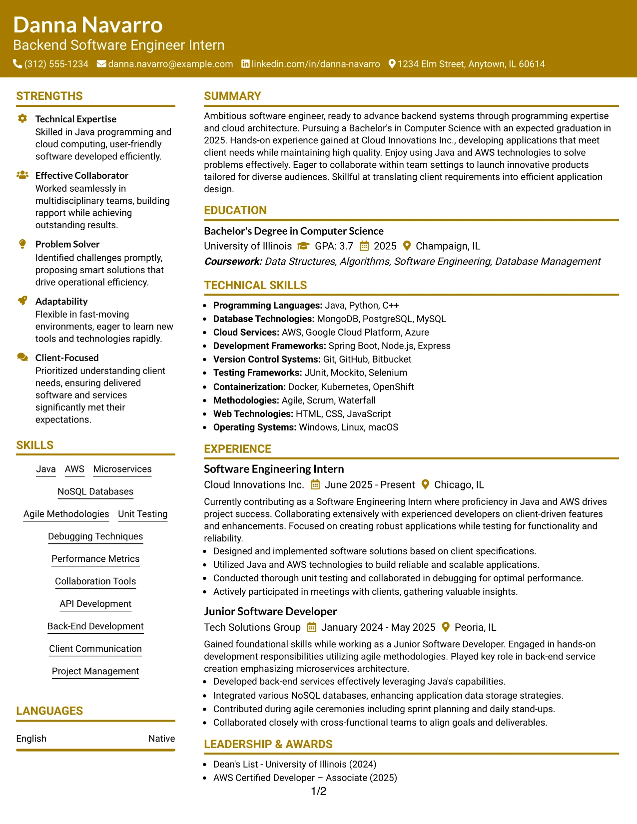 Resume Example Page 1