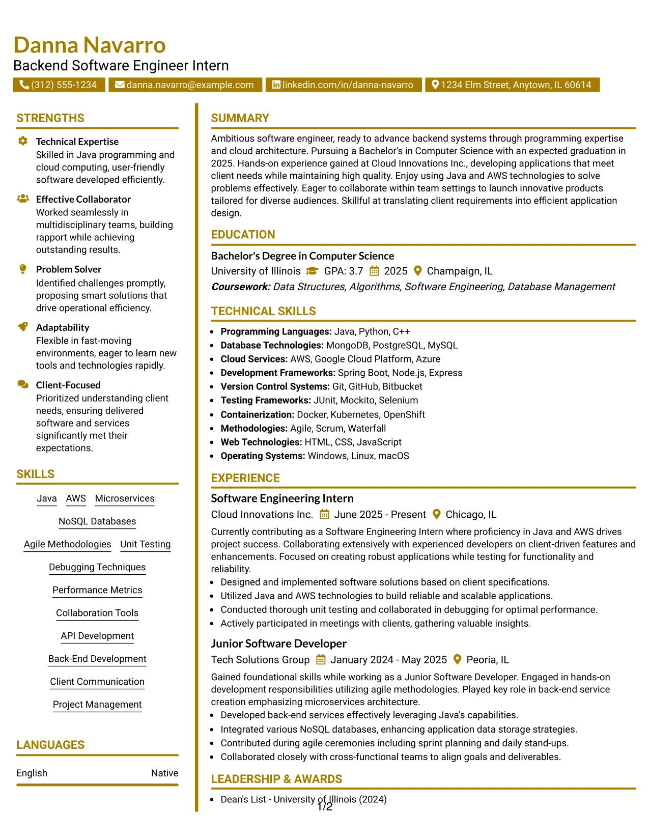 Resume Example Page 1