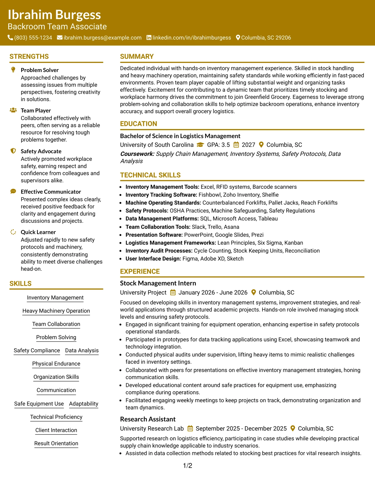 Resume Example Page 1