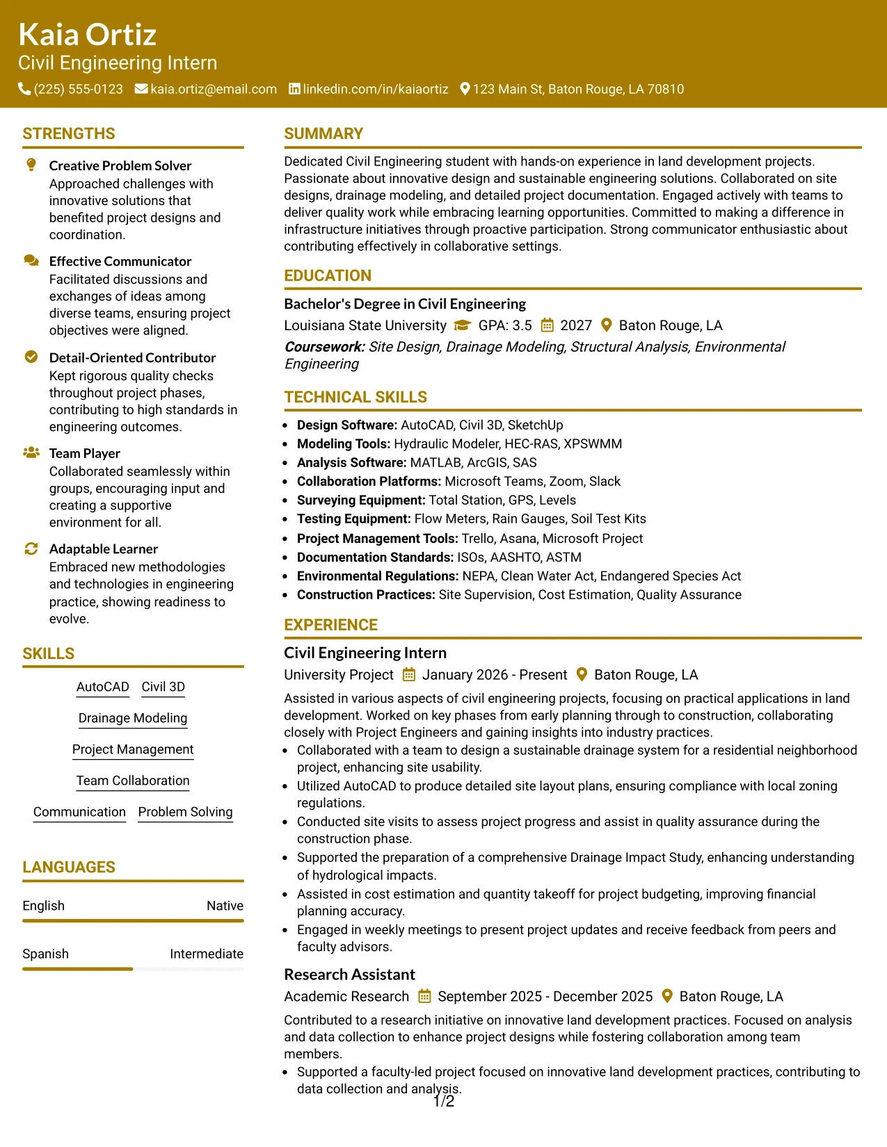 Resume Example Page 1