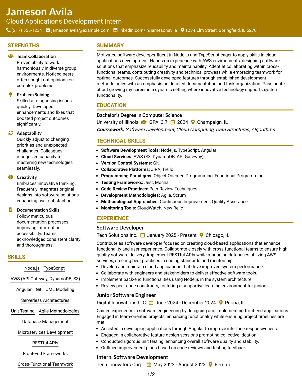 Resume Example Page 1