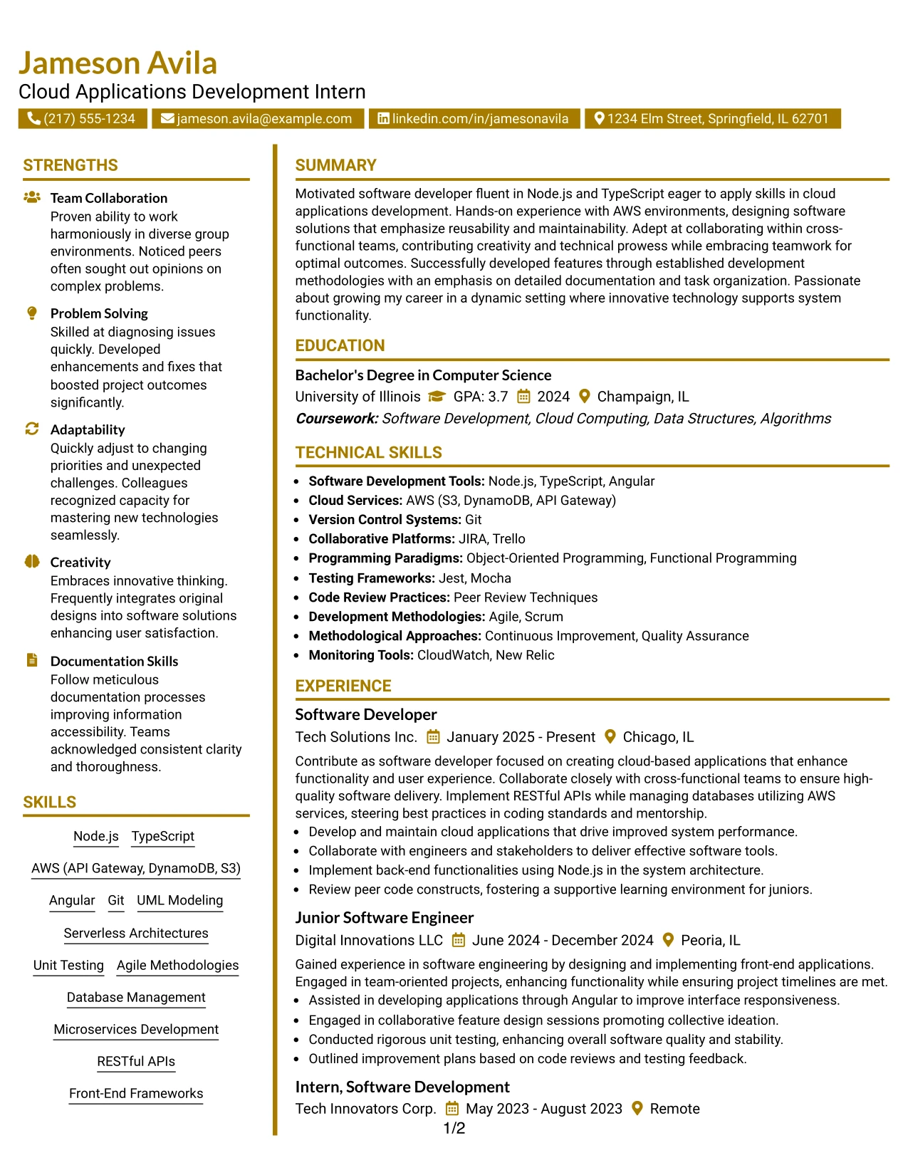Resume Example Page 1