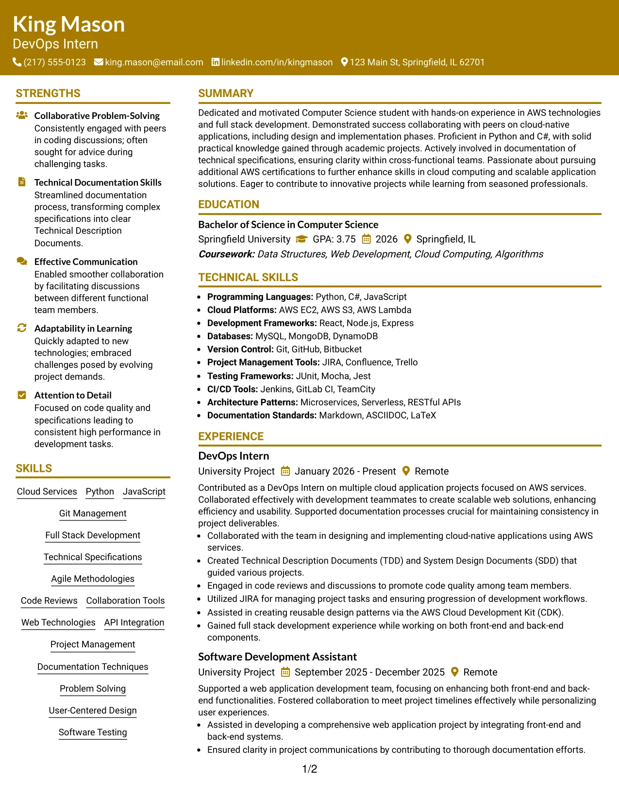 Resume Example Page 1