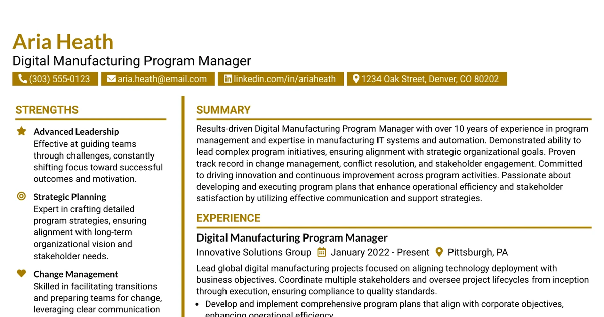 33 Digital Manufacturing IT Program Manager Resume Templates with Example
