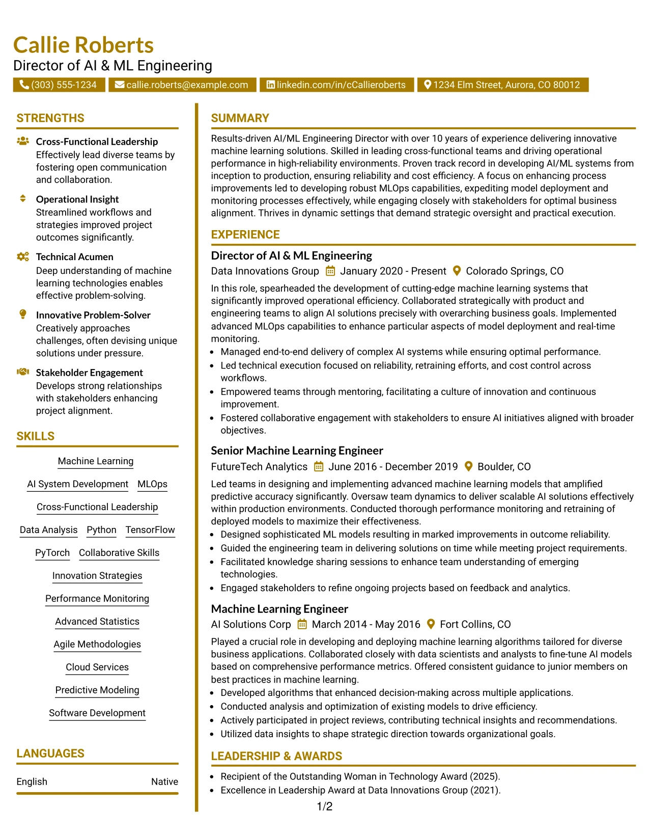 Resume Example Page 1