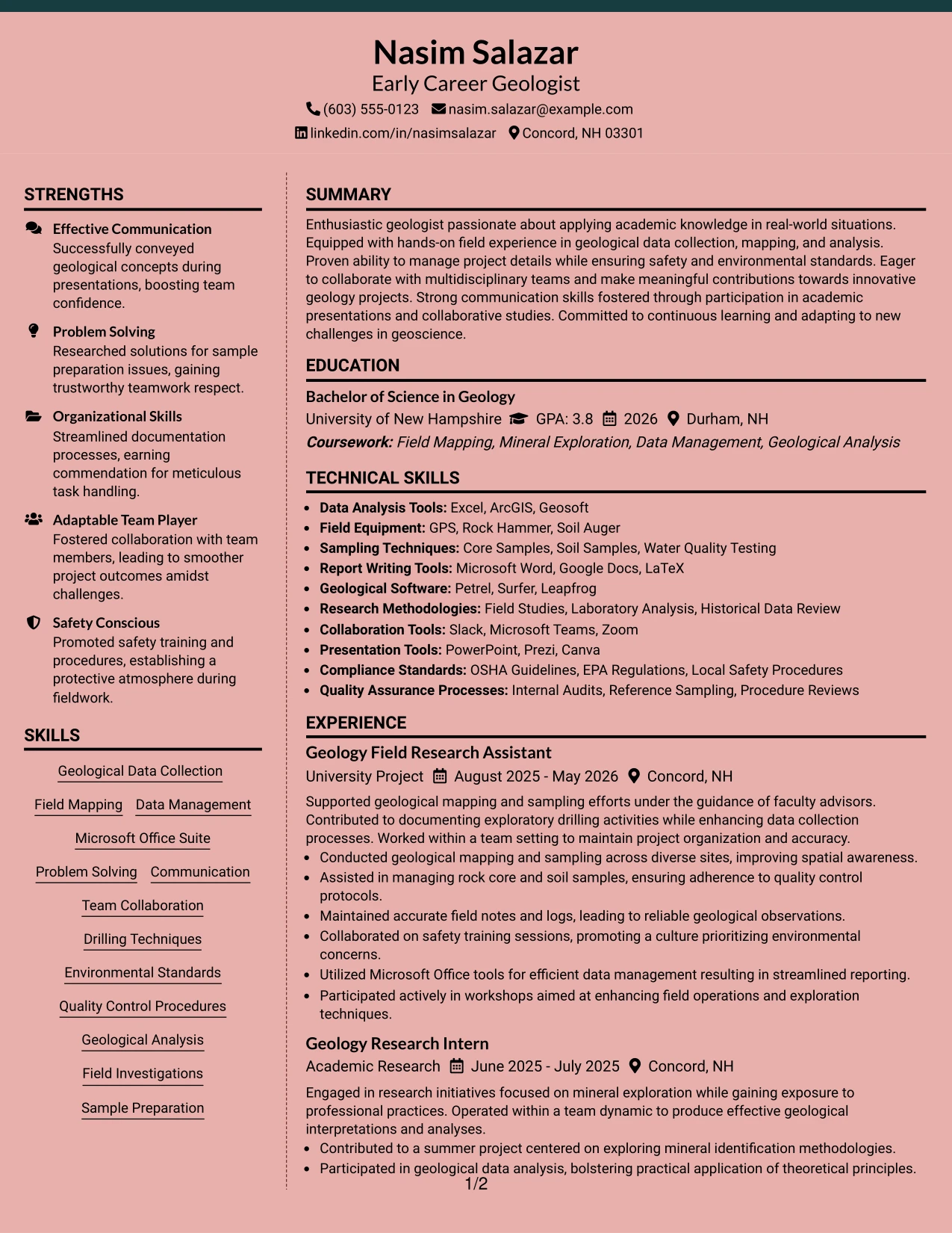 Resume Example Page 1