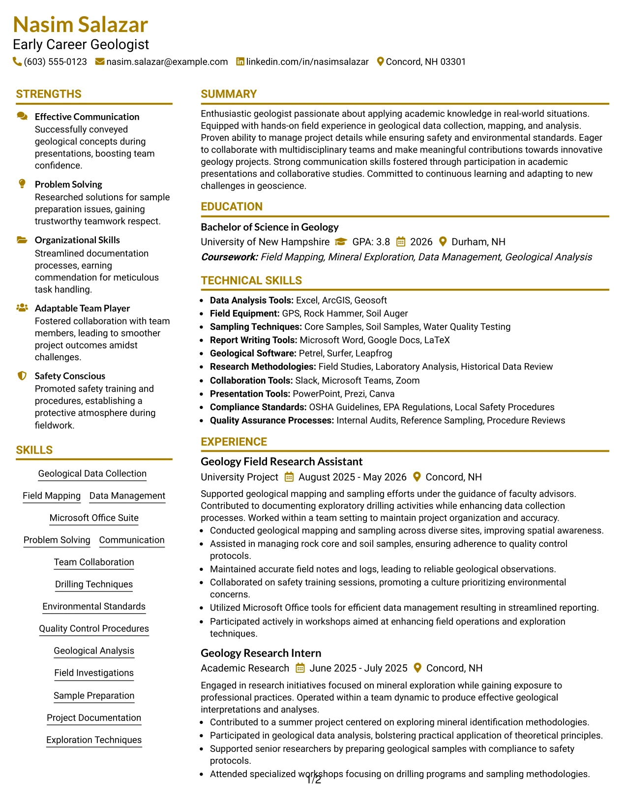 Resume Example Page 1