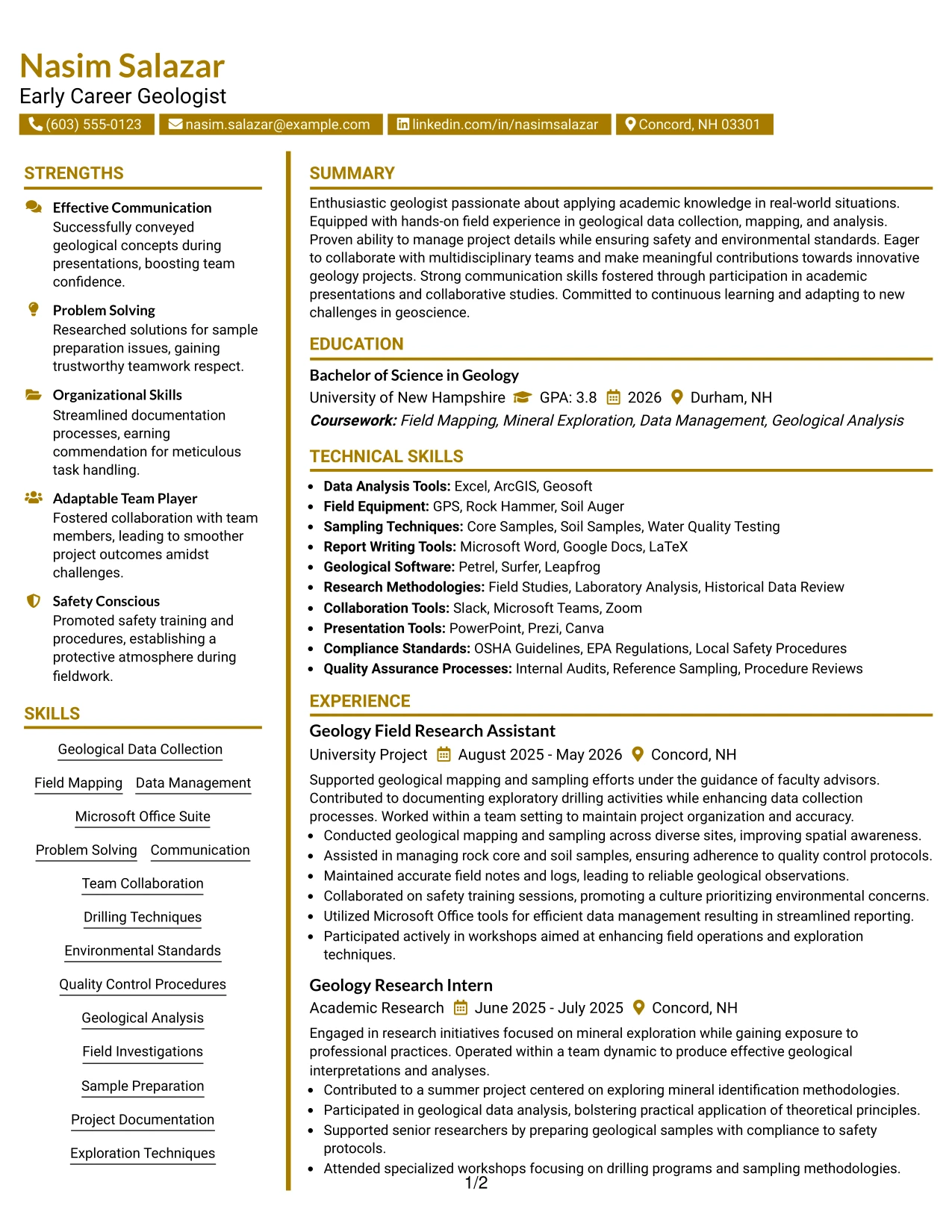 Resume Example Page 1