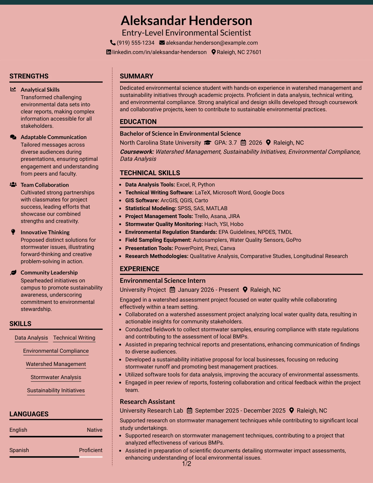 Resume Example Page 1