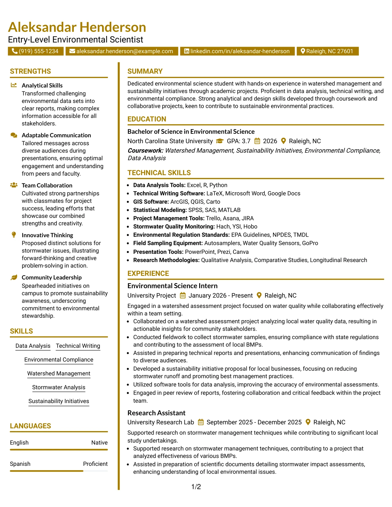 Resume Example Page 1