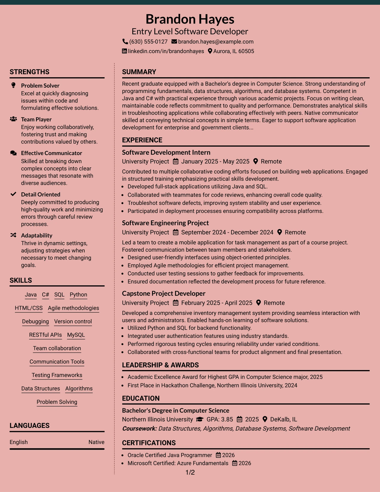 Resume Example Page 1