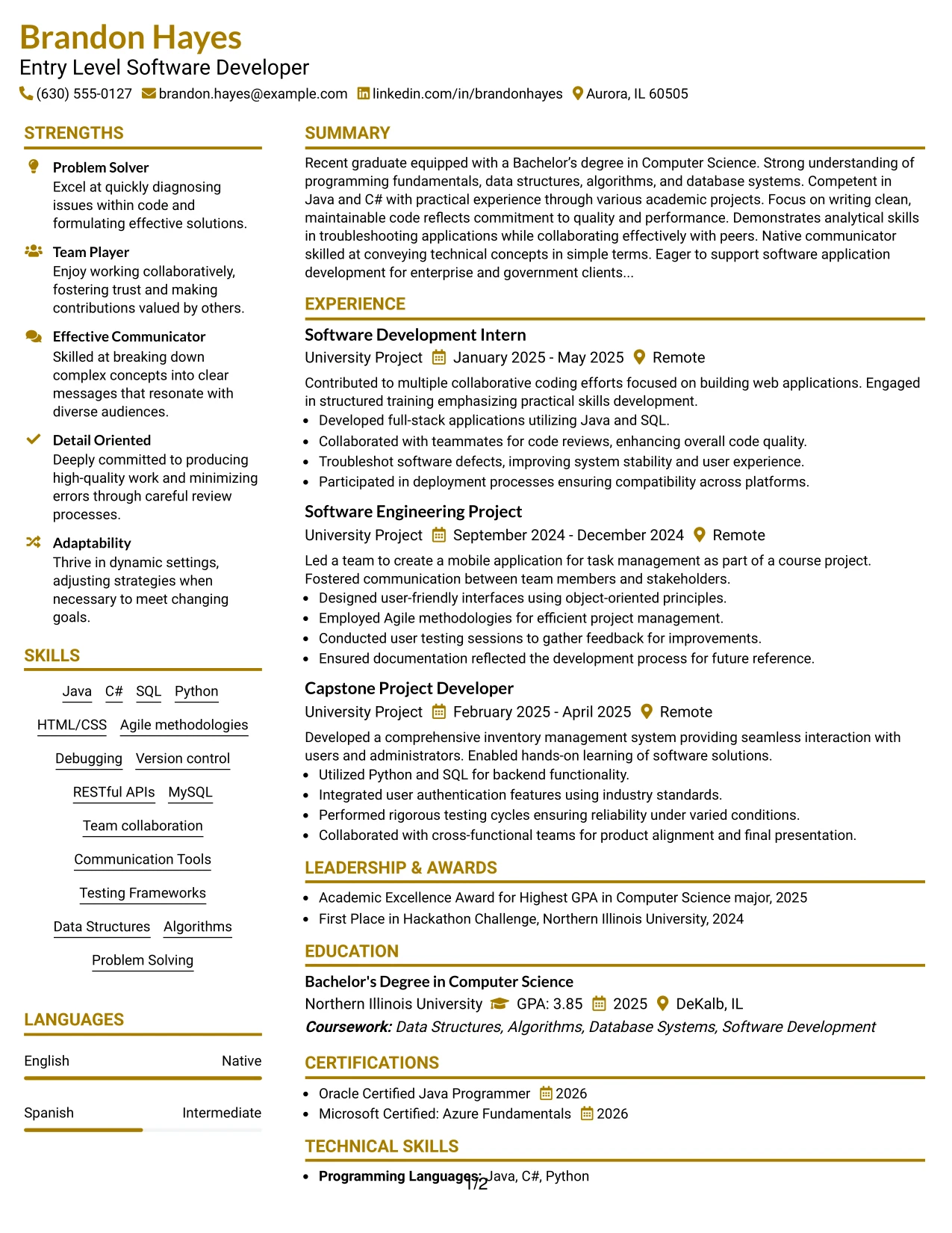 Resume Example Page 1