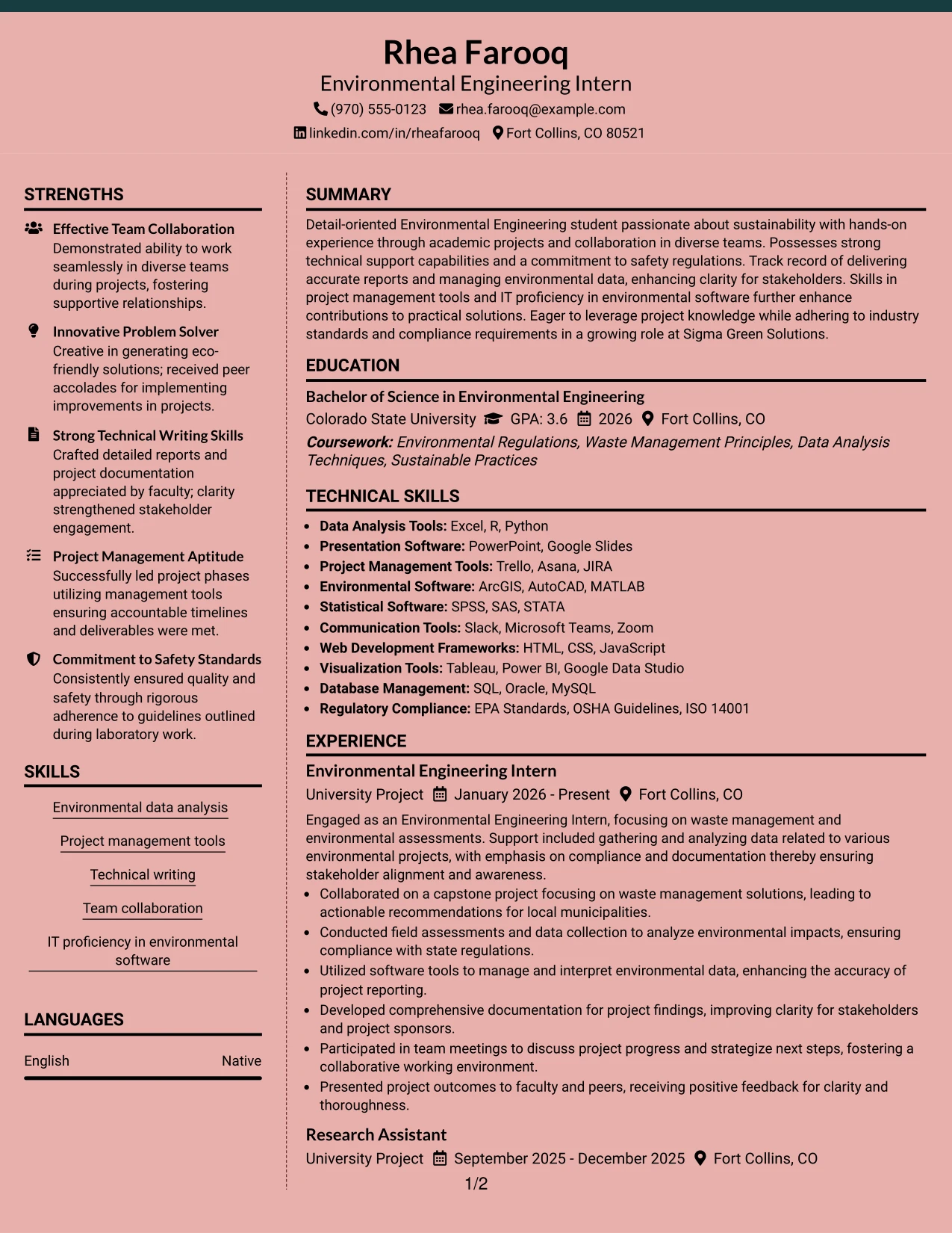 Resume Example Page 1