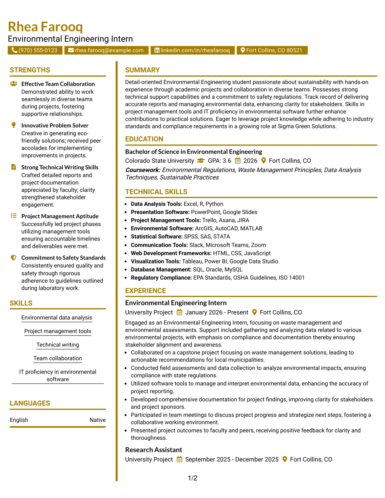 Resume Example Page 1