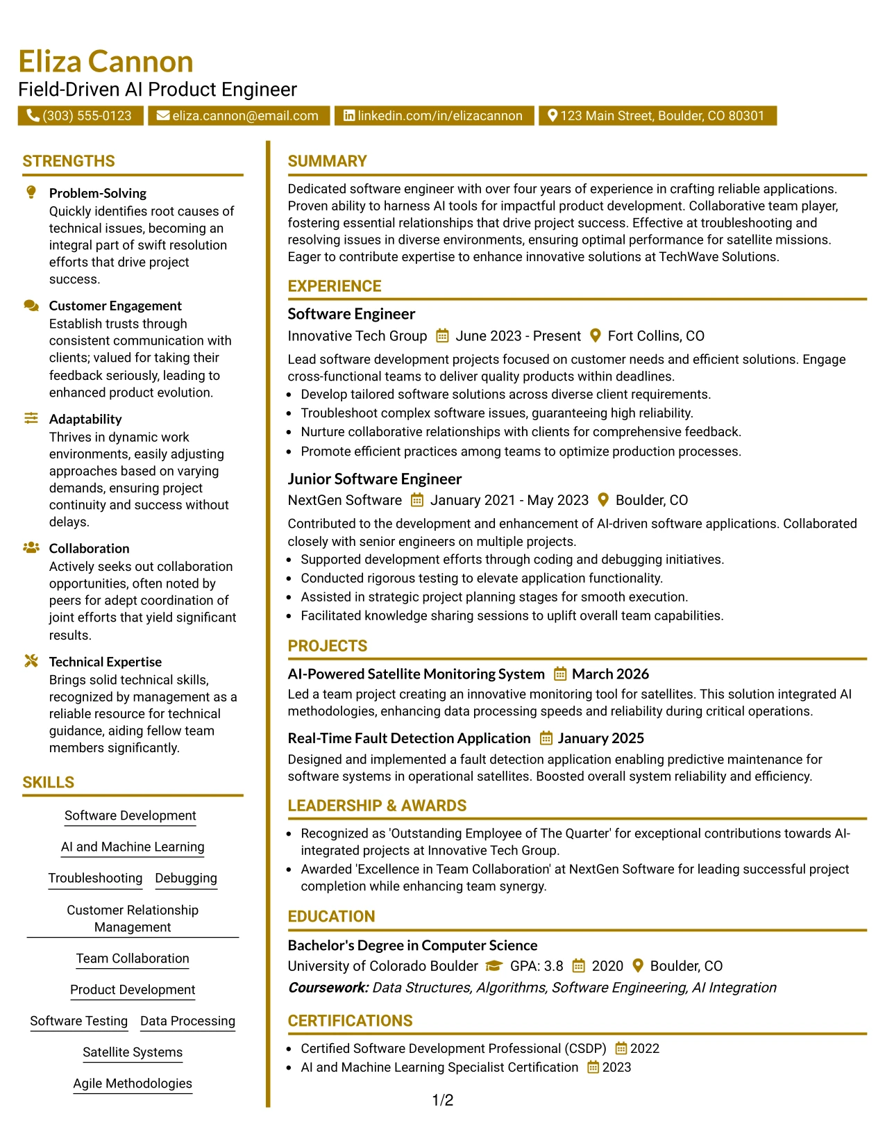 Resume Example Page 1