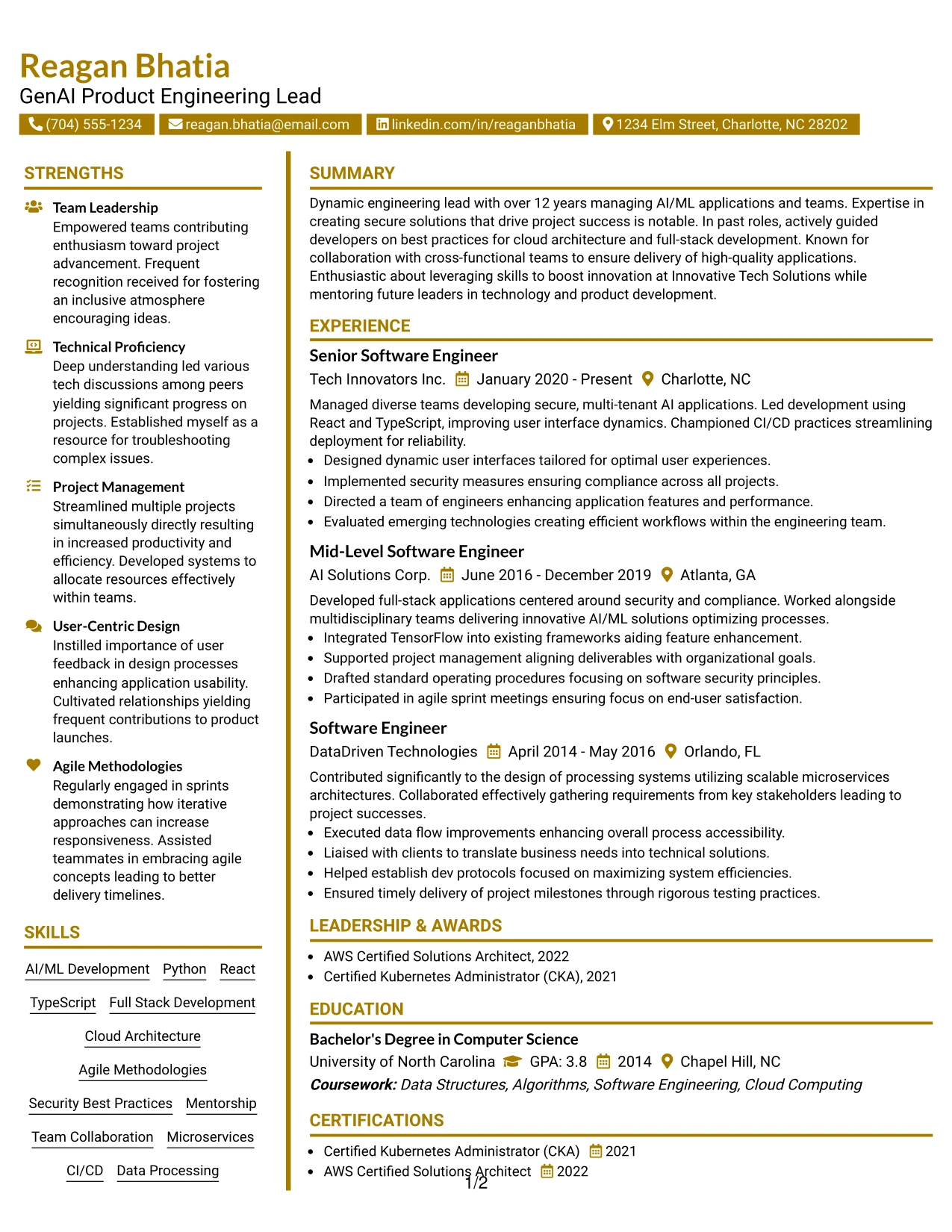 Resume Example Page 1