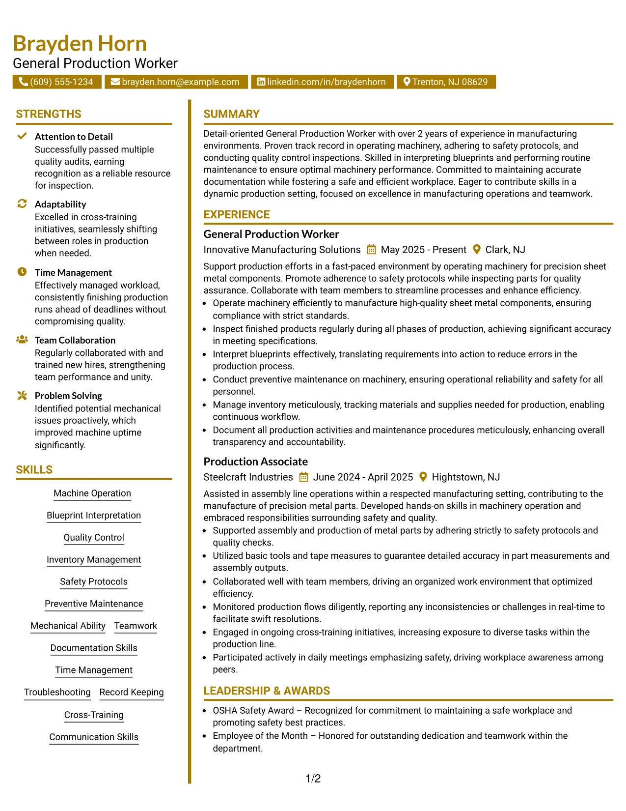 Resume Example Page 1
