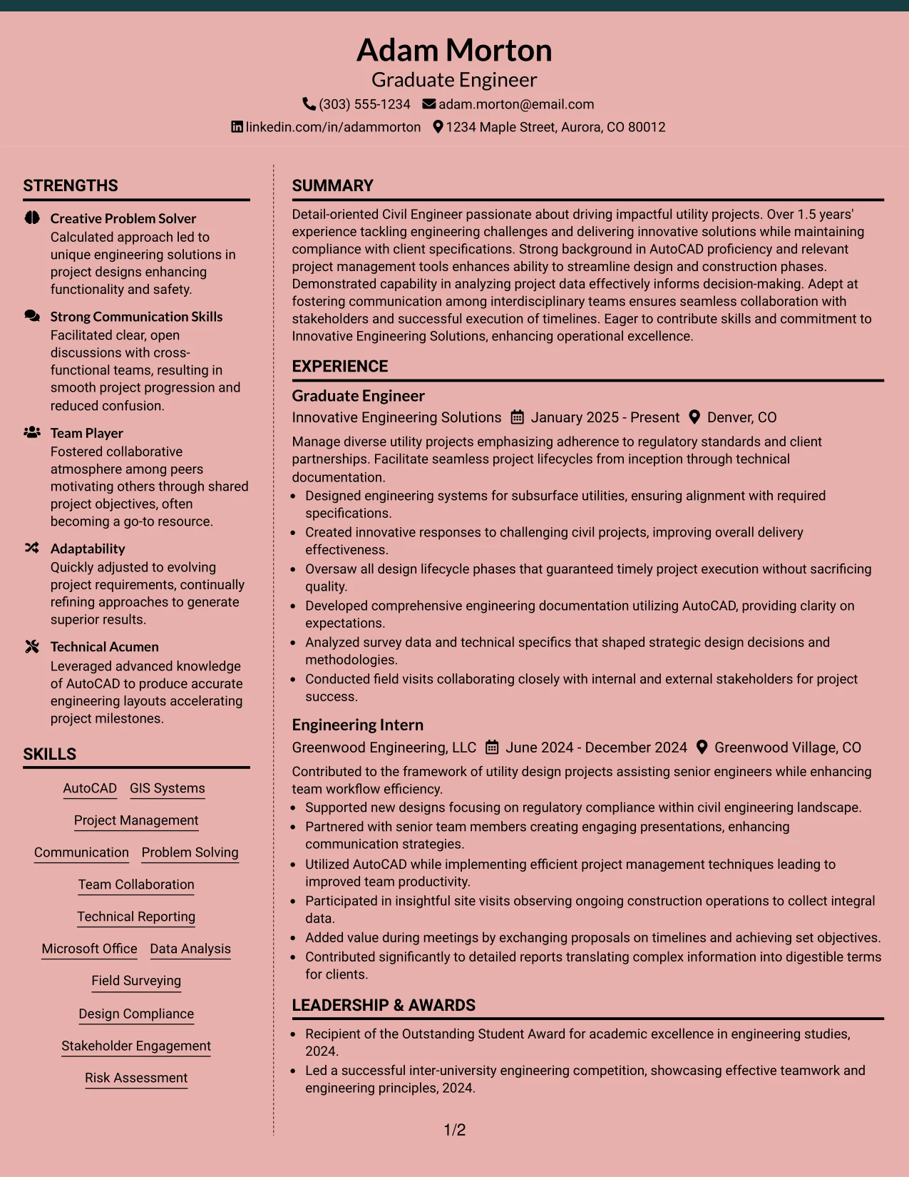 Resume Example Page 1
