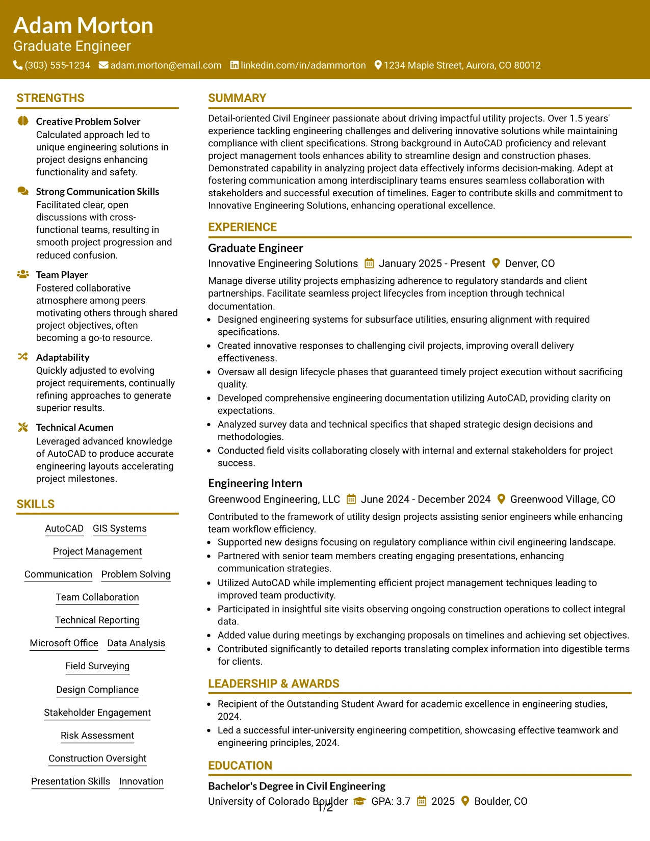 Resume Example Page 1