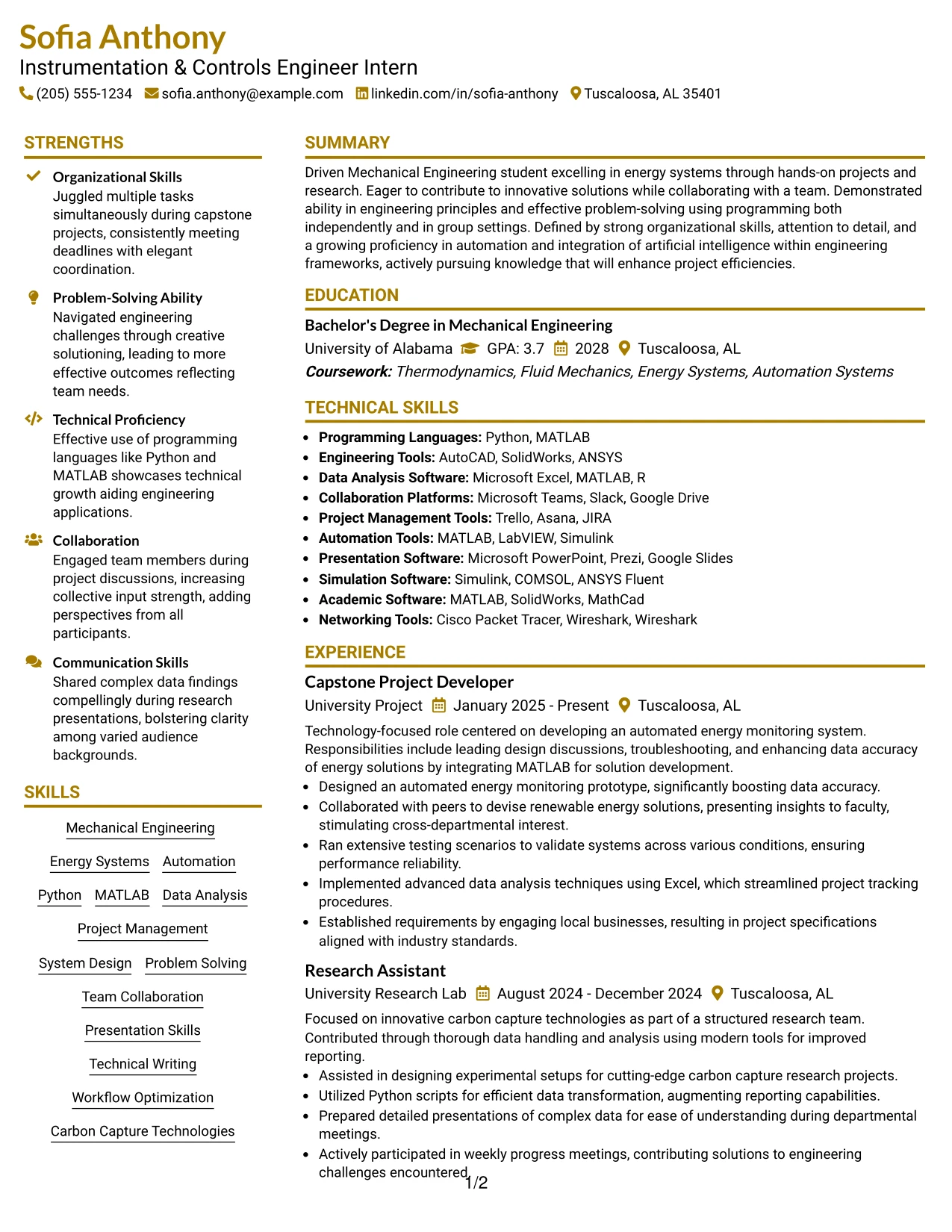 Resume Example Page 1
