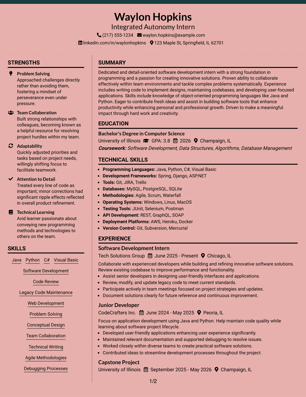 Resume Example Page 1