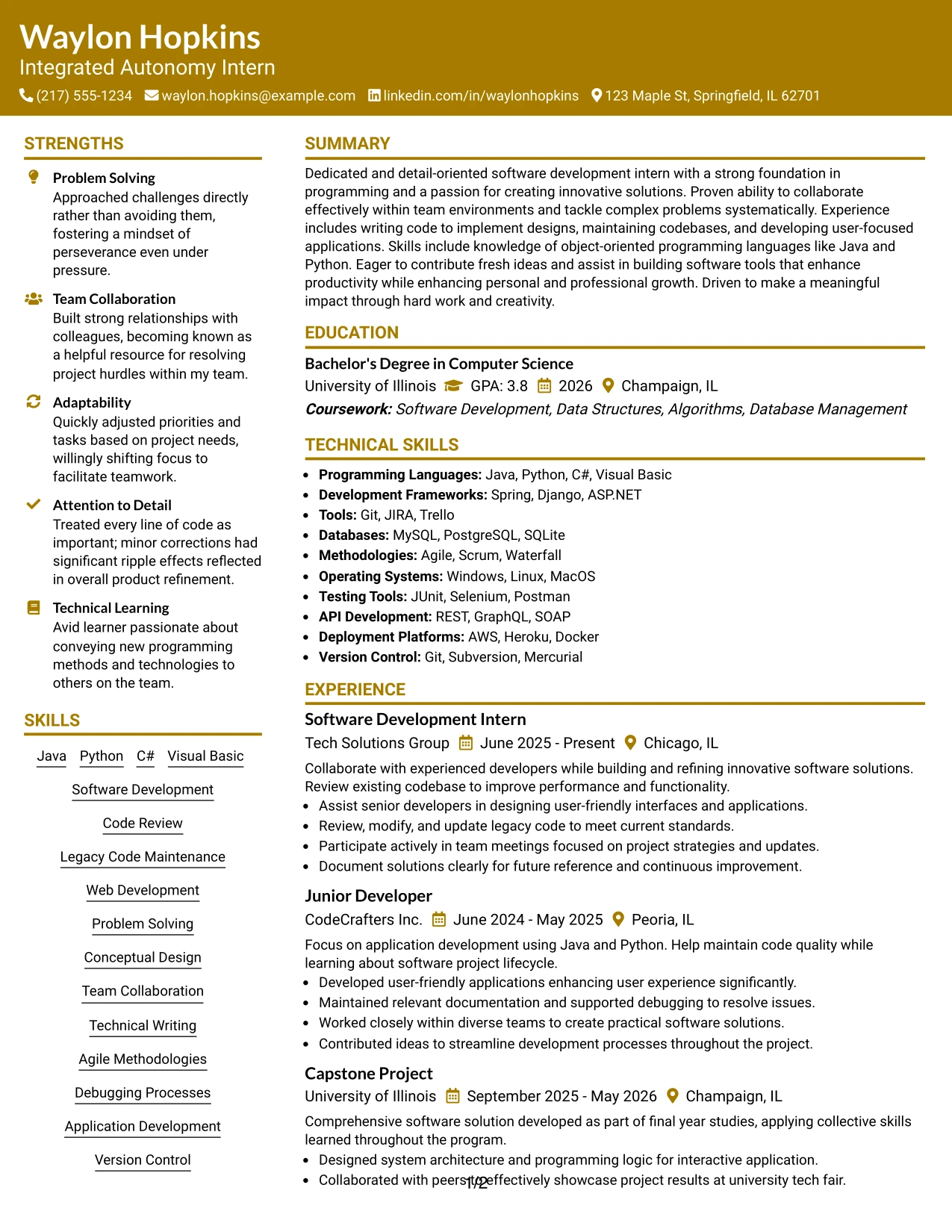 Resume Example Page 1