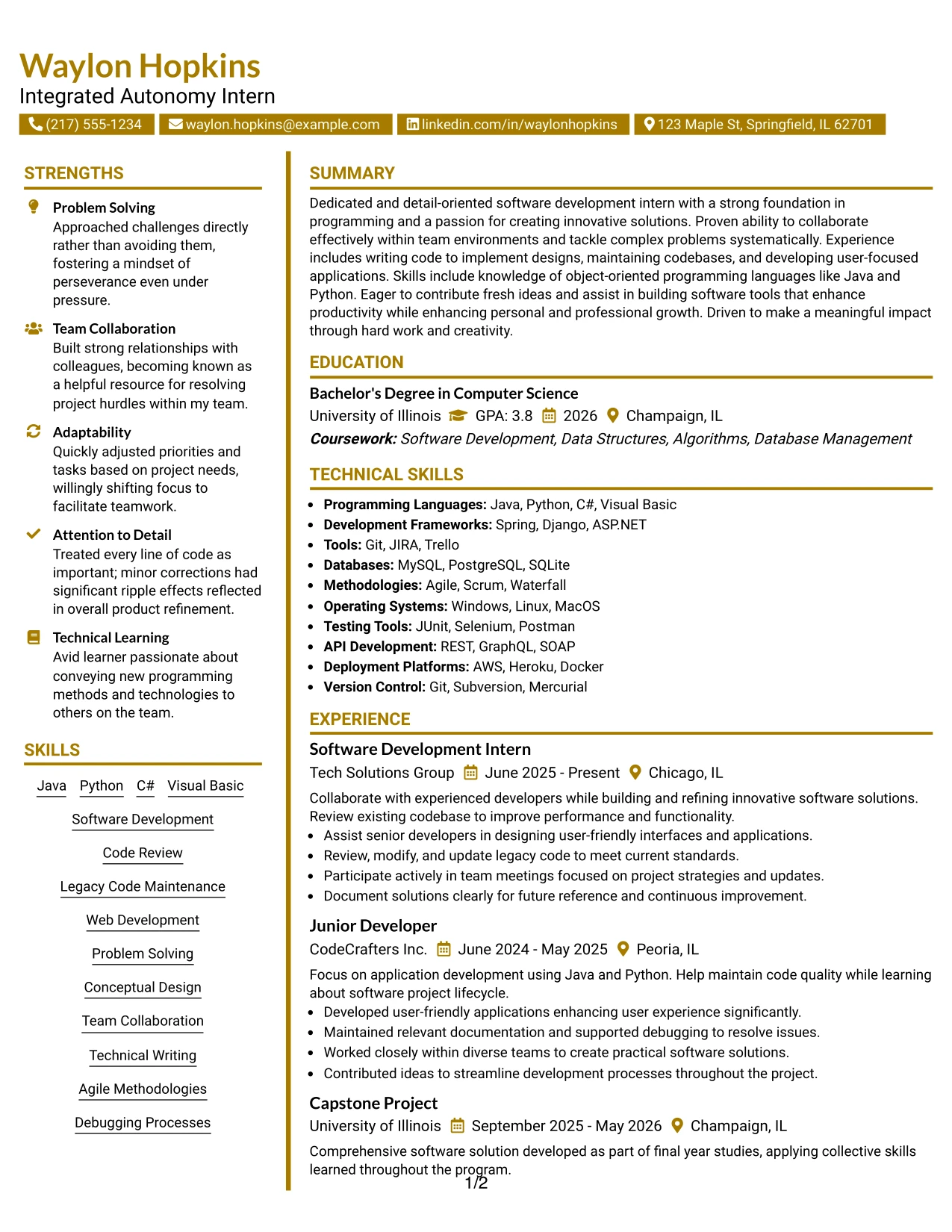 Resume Example Page 1