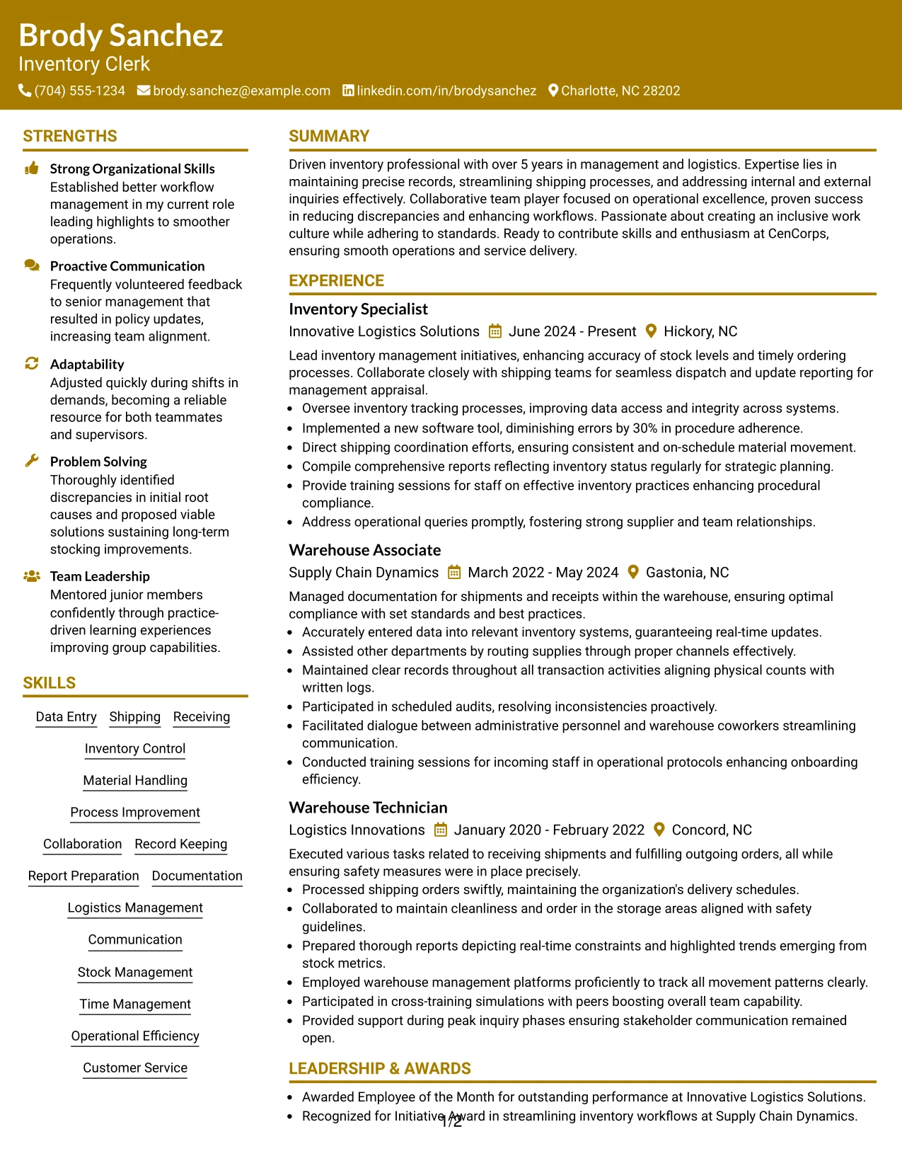 Resume Example Page 1