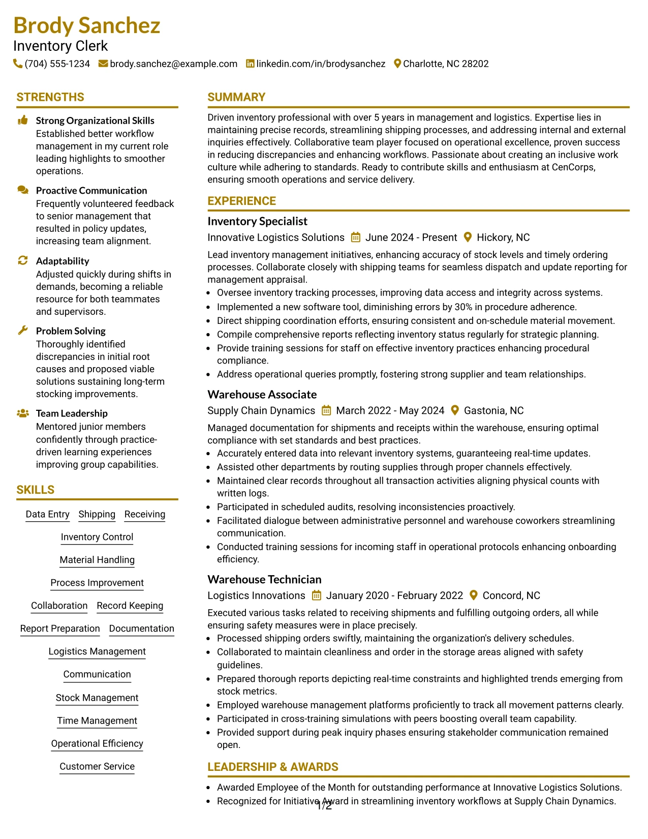 Resume Example Page 1