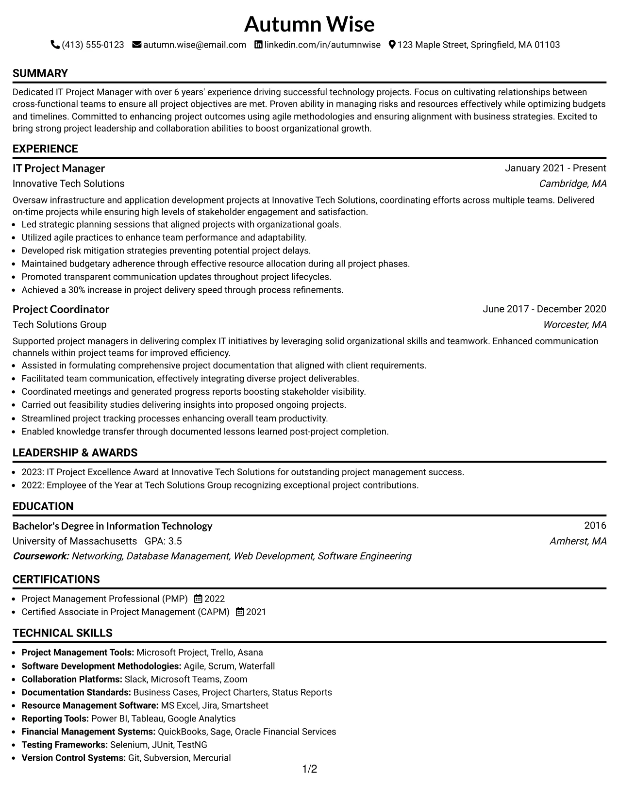Resume Example Page 1