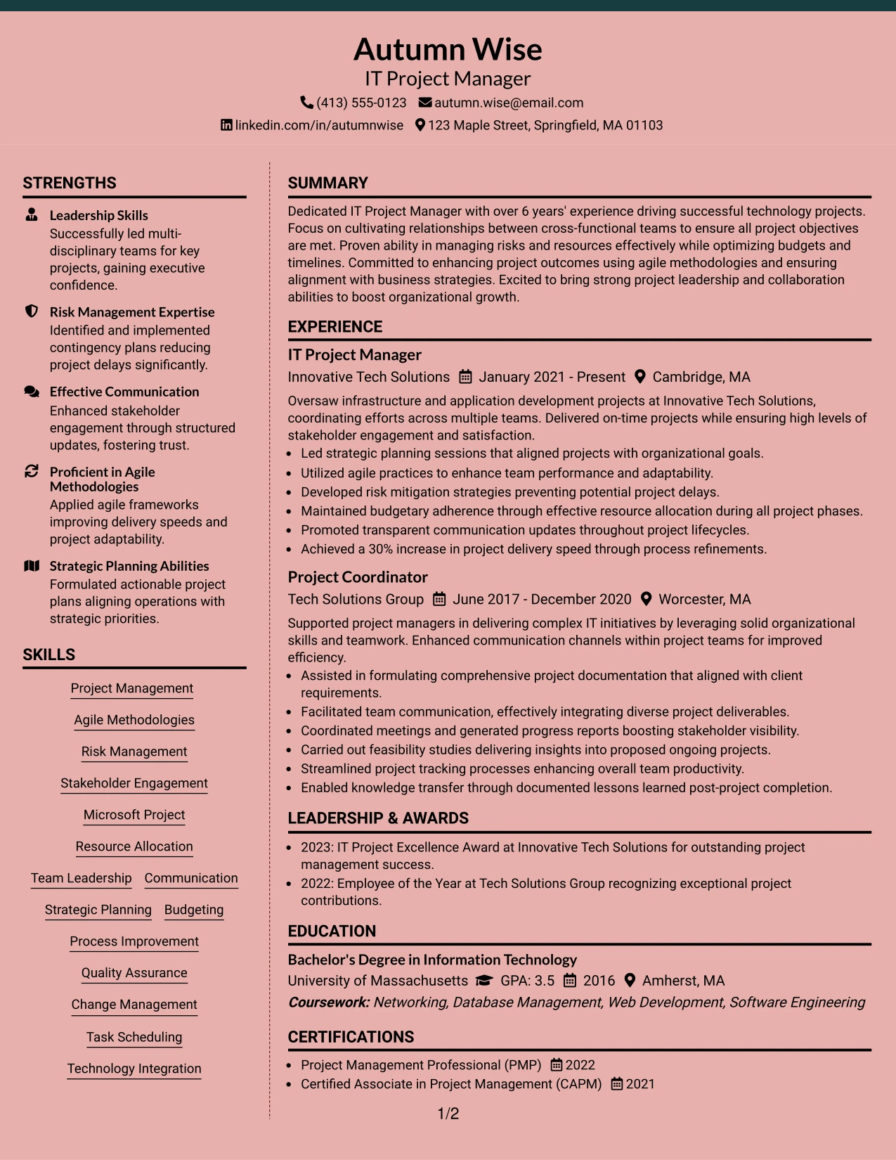 Resume Example Page 1