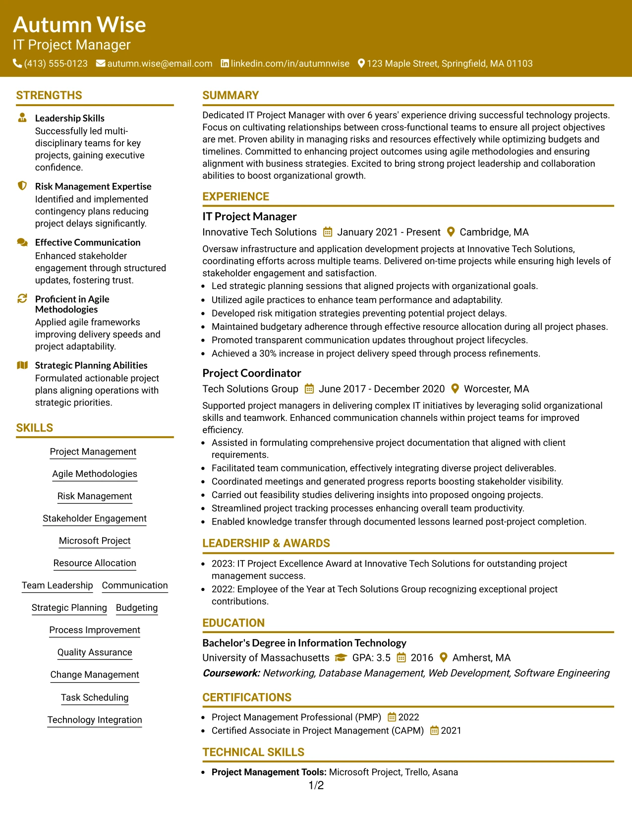 Resume Example Page 1