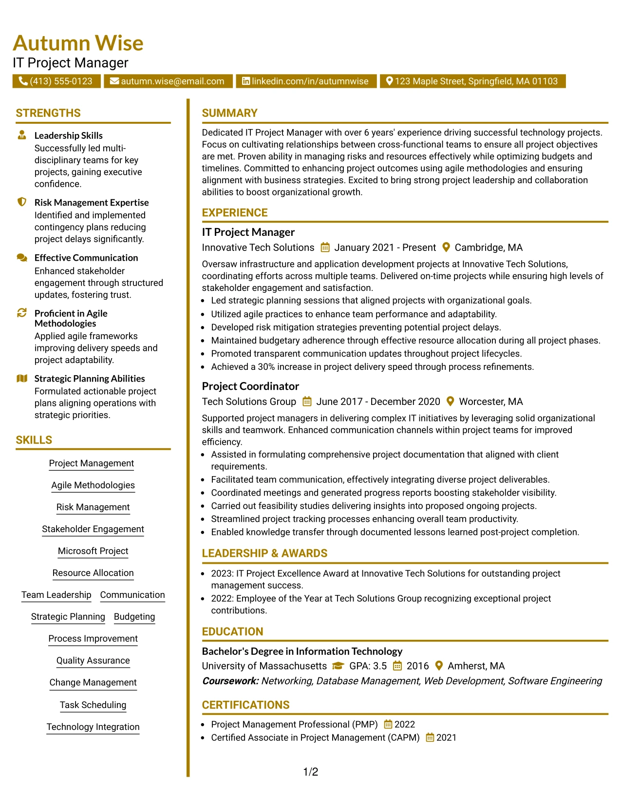 Resume Example Page 1