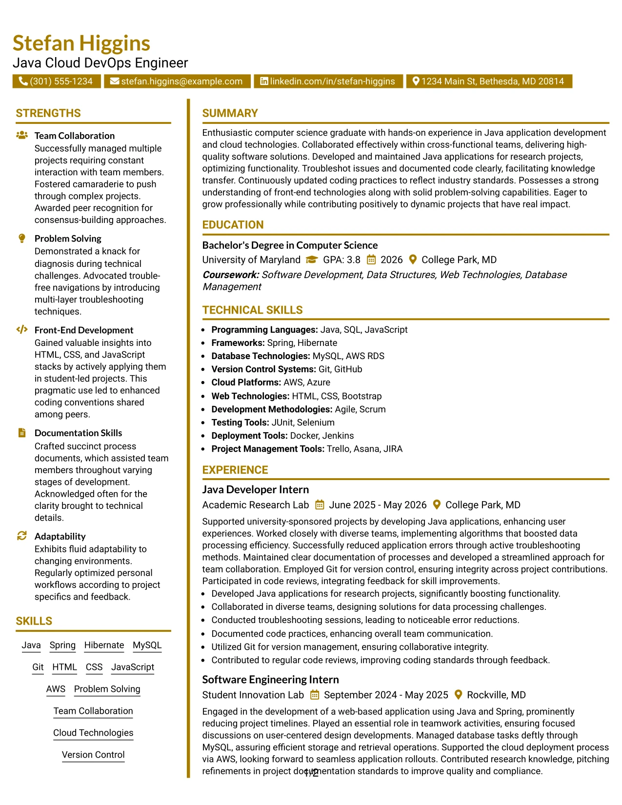 Resume Example Page 1