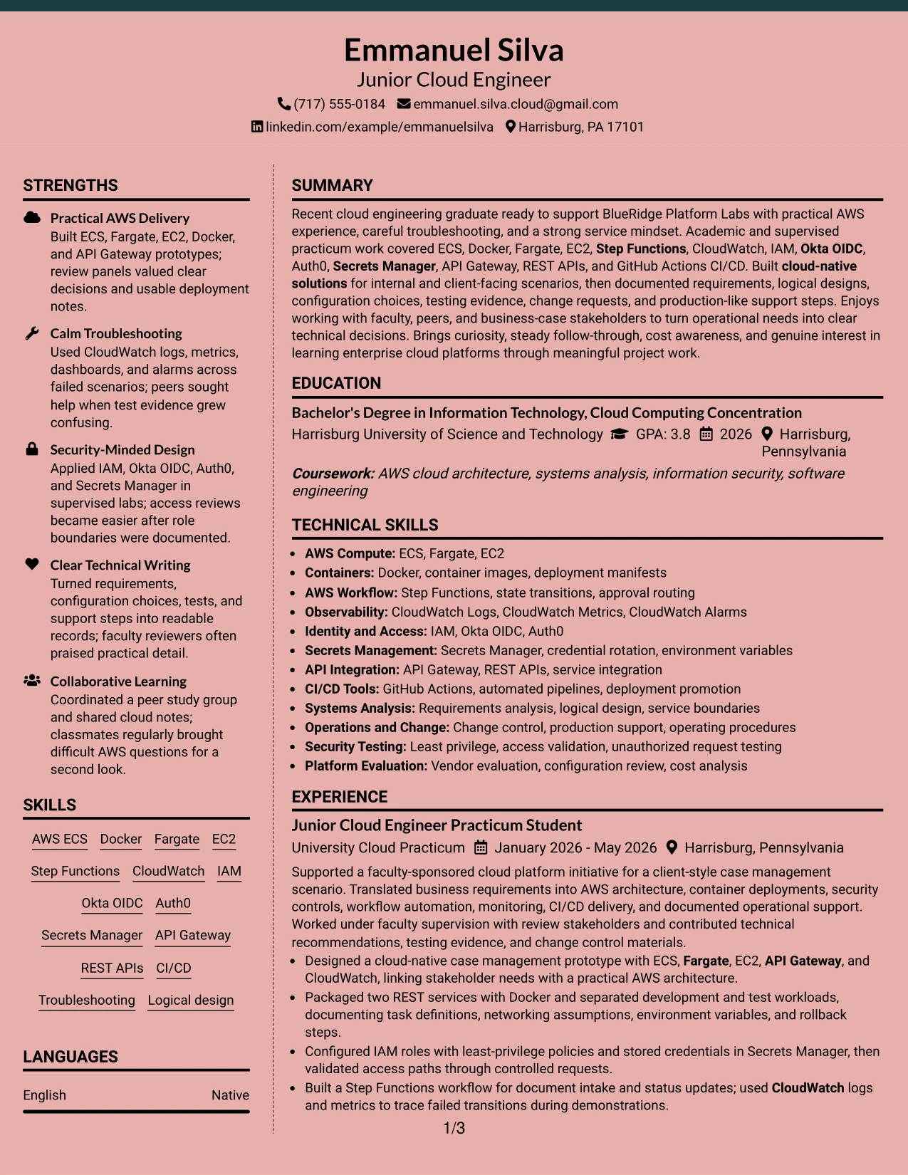 Resume Example Page 1
