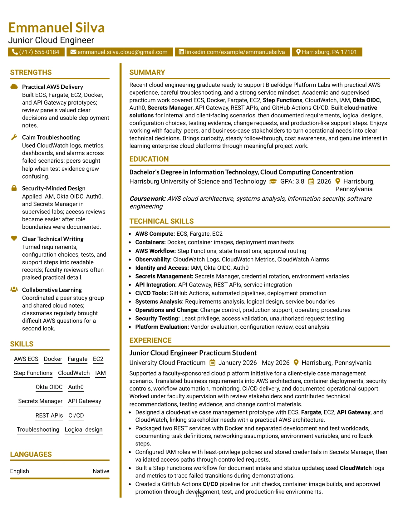 Resume Example Page 1