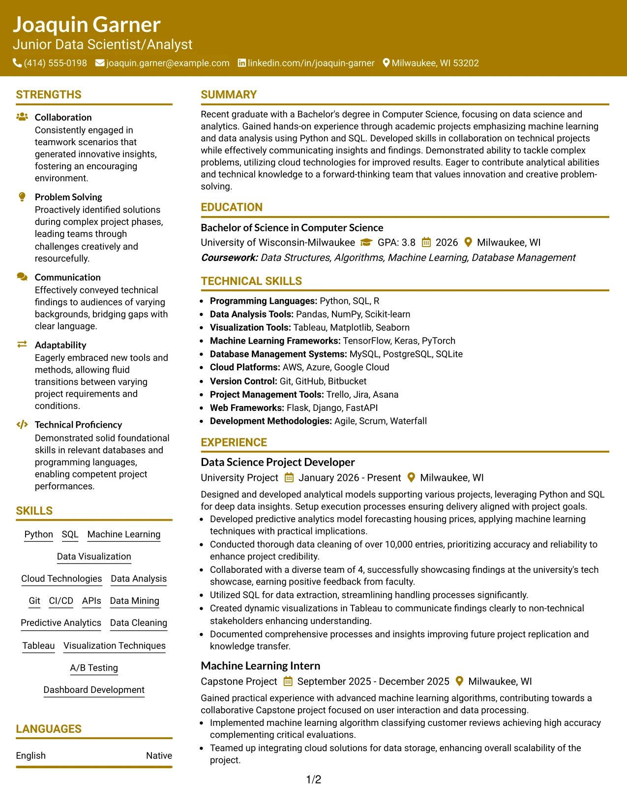 Resume Example Page 1