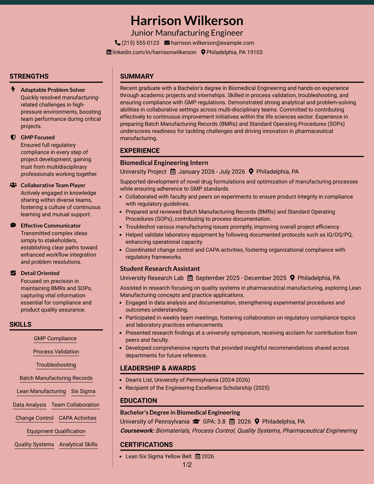 Resume Example Page 1