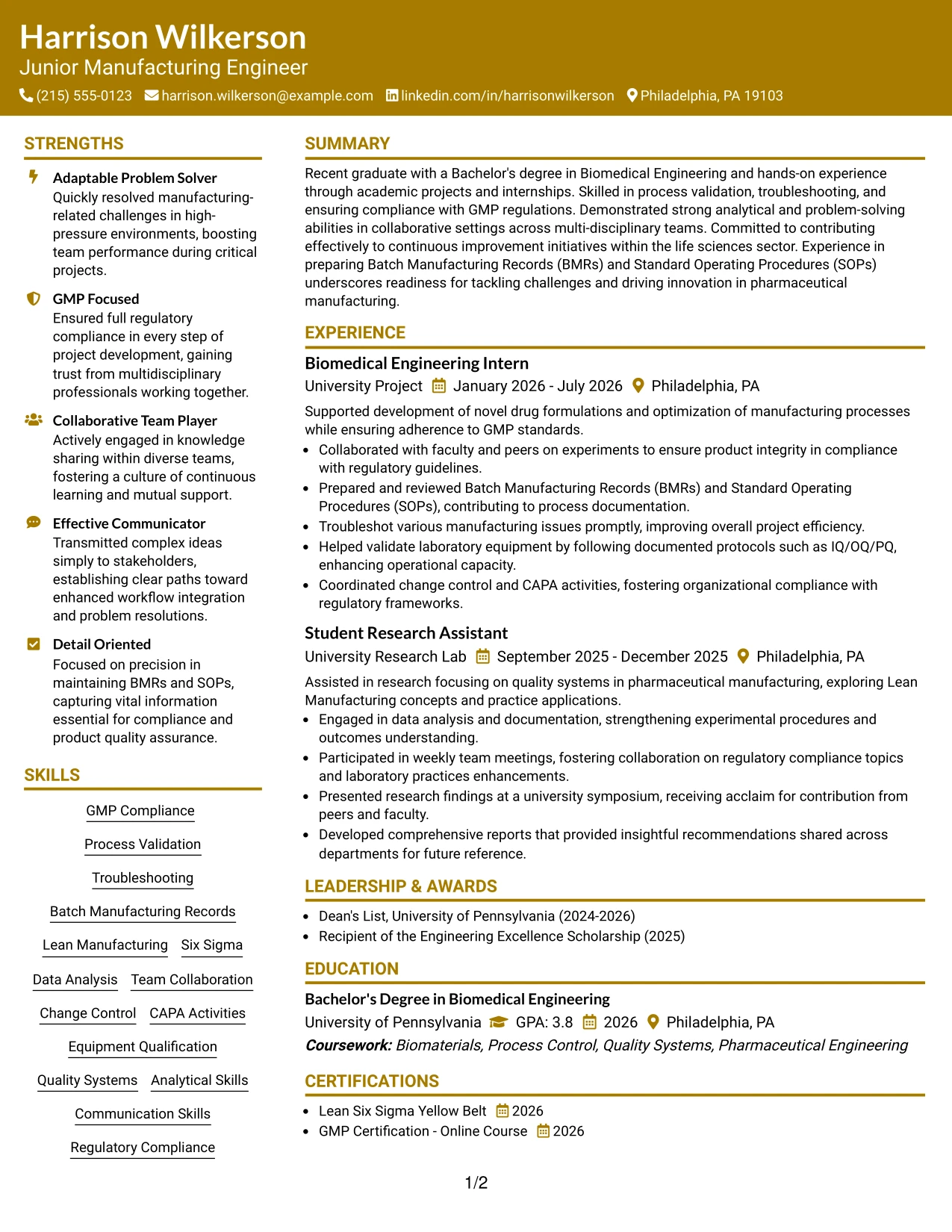 Resume Example Page 1