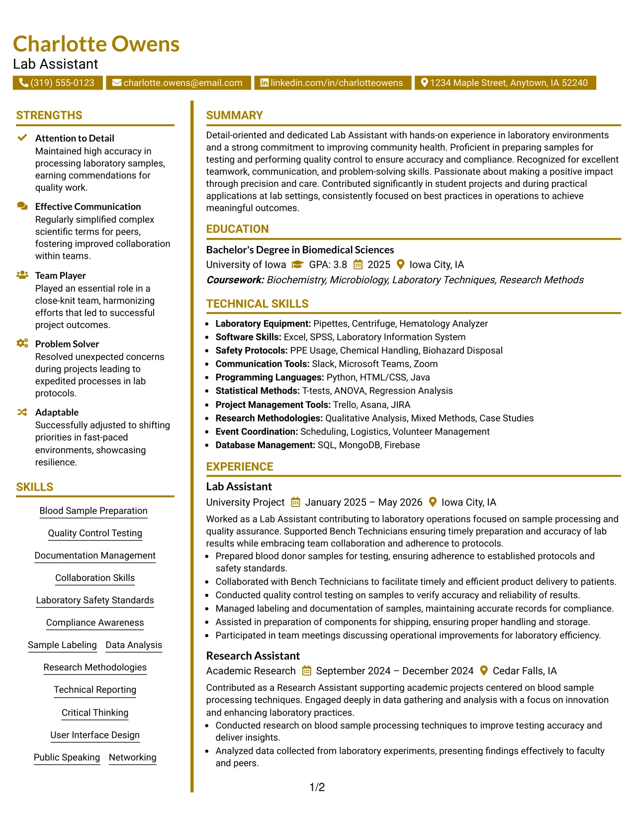Resume Example Page 1