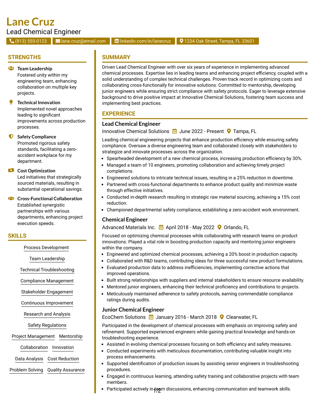 Resume Example Page 1