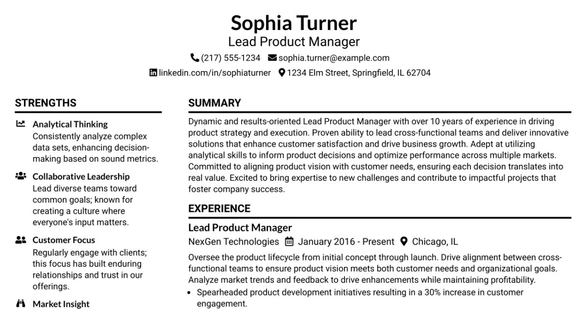 33 Lead Product Manager Resume Templates with Example