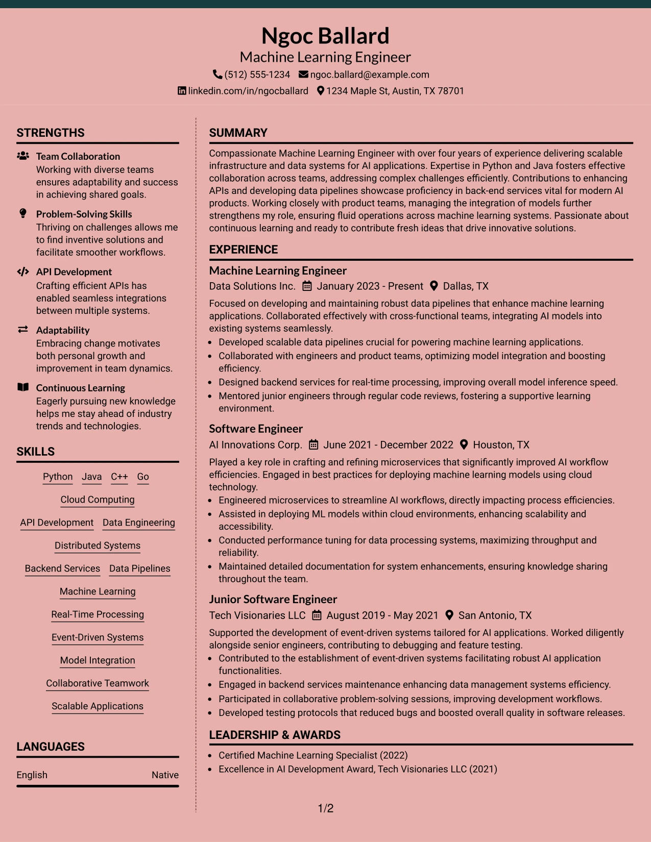 Resume Example Page 1