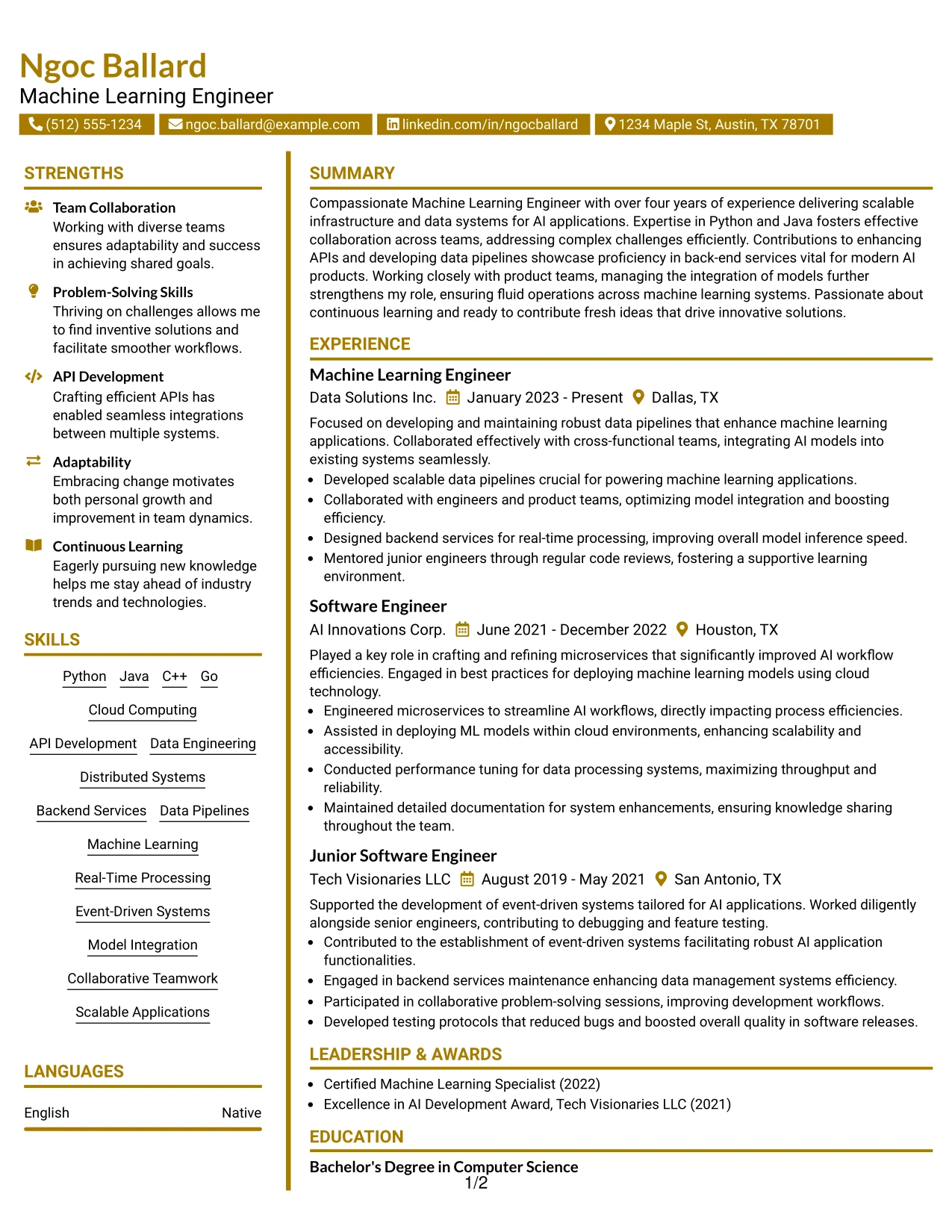 Resume Example Page 1