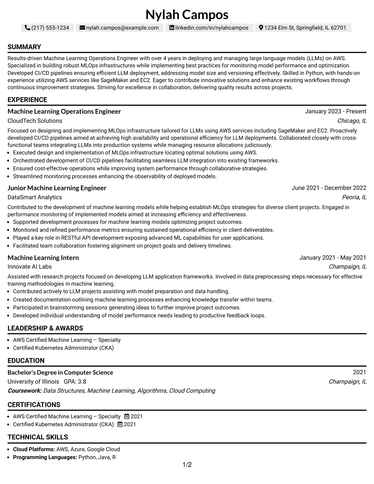 Resume Example Page 1